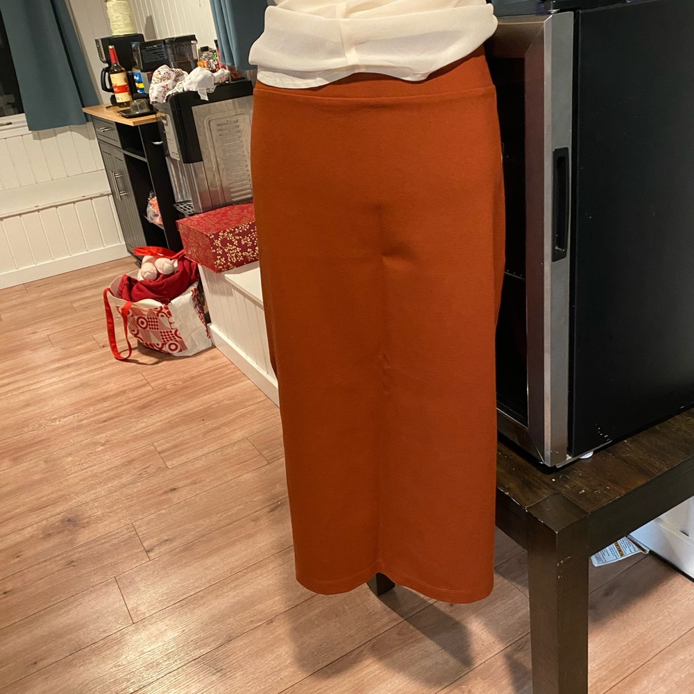 Elegant Rust Midi Skirt